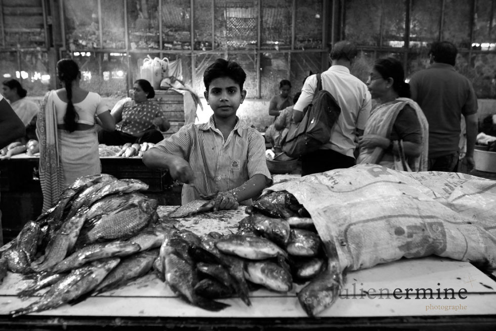 Exposition « La mer en Inde »
