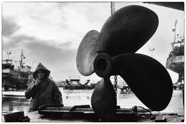 Expositions du Festival l’Homme et la Mer 2018